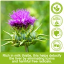 milk-thistle-for-dogs-milk-thistle-suppl-3.jpg
