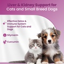 bio-petactive-silycumin-milk-thistle-tur-2.jpg