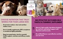 bio-petactive-silycumin-milk-thistle-tur-5.jpg