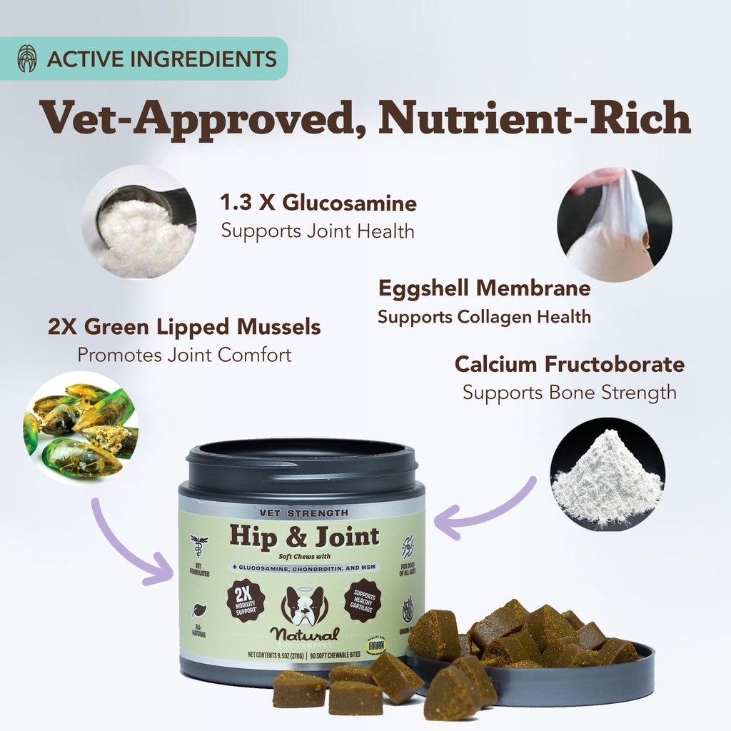 natural-dog-company-senior-dog-health-bu-2.jpg