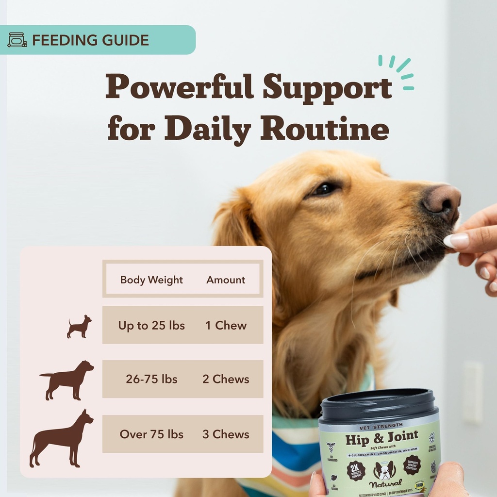 natural-dog-company-senior-dog-health-bu-6.jpg