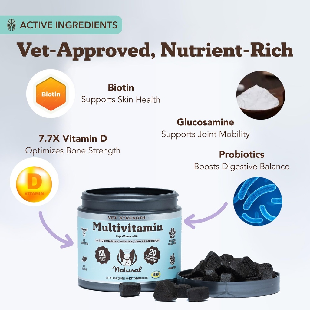 natural-dog-company-senior-dog-health-bu-3.jpg