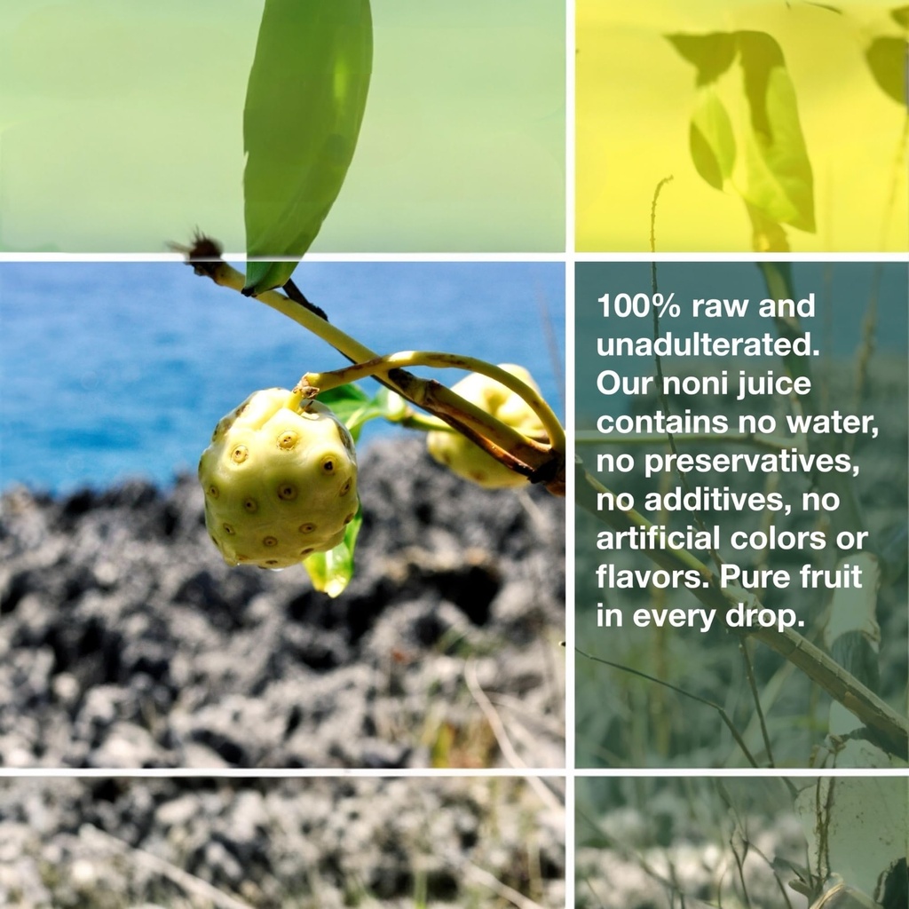 frutos-pachamama-organic-noni-juice-100--4.jpg