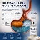 gut-barrier-repair-complex-acid-reflux-c-3.jpg