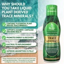 tropical-oasis-premium-ionized-plant-bas-4.jpg