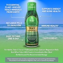 tropical-oasis-premium-ionized-plant-bas-3.jpg