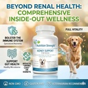 kidney-support-for-dogs-renal-bladder-an-4.jpg