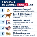 fish-oil-for-dogs-cats-natural-omega-3-s-6.jpg