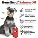 salmon-oil-for-dogs-cats-healthy-skin-co-2.jpg