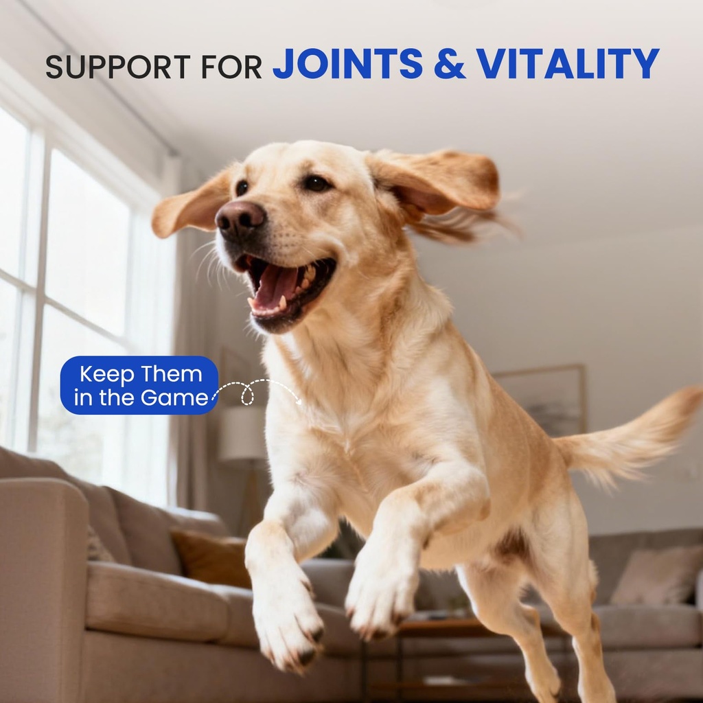 omega-3-fish-oil-for-dogs-cats-skin-coat-4.jpg
