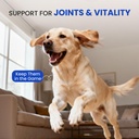 omega-3-fish-oil-for-dogs-cats-skin-coat-4.jpg