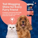 naturvet-omega-gold-plus-salmon-oil-skin-4.jpg