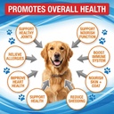 wild-caught-salmon-oil-for-dogs-cats-ome-3.jpg