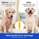 omega-3-fish-oil-for-dogs-cats-skin-coat-4.jpg