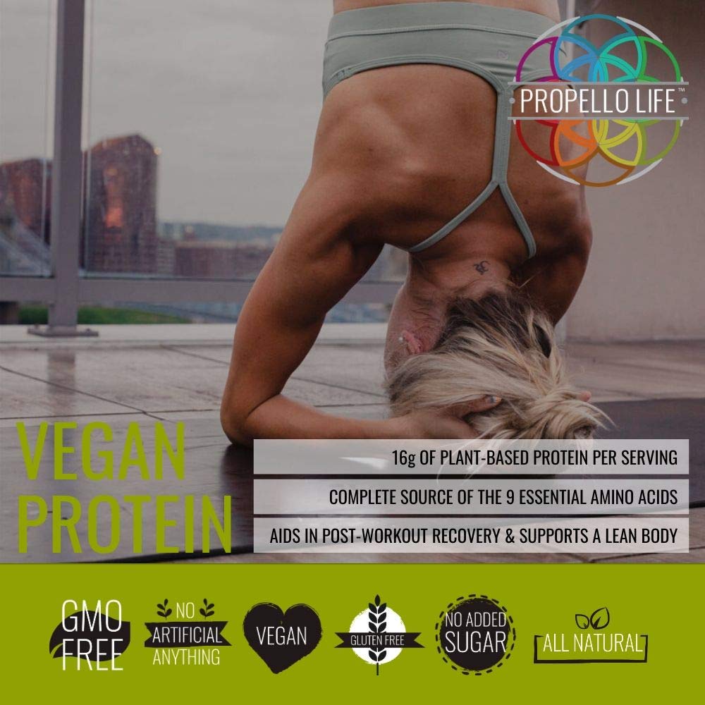 vegan-protein-powder-spiced-vanilla-25-s-5.jpg