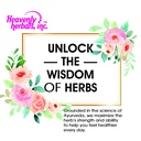carduus-marianus-compositum-homeopathic--3.jpg