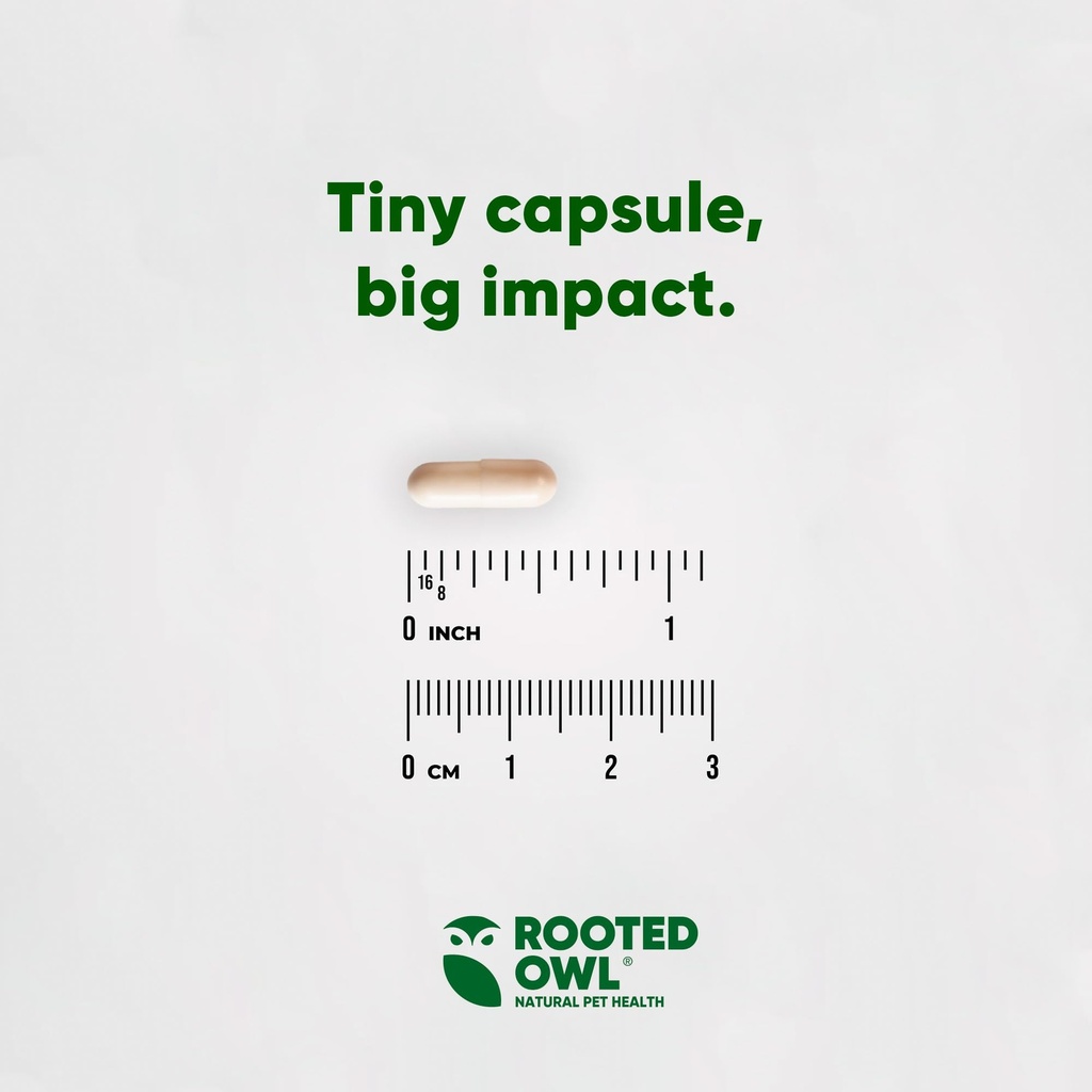 rooted-owl-healthy-weight-energy-metabol-5.jpg