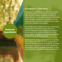 rooted-owl-healthy-weight-energy-metabol-4.jpg