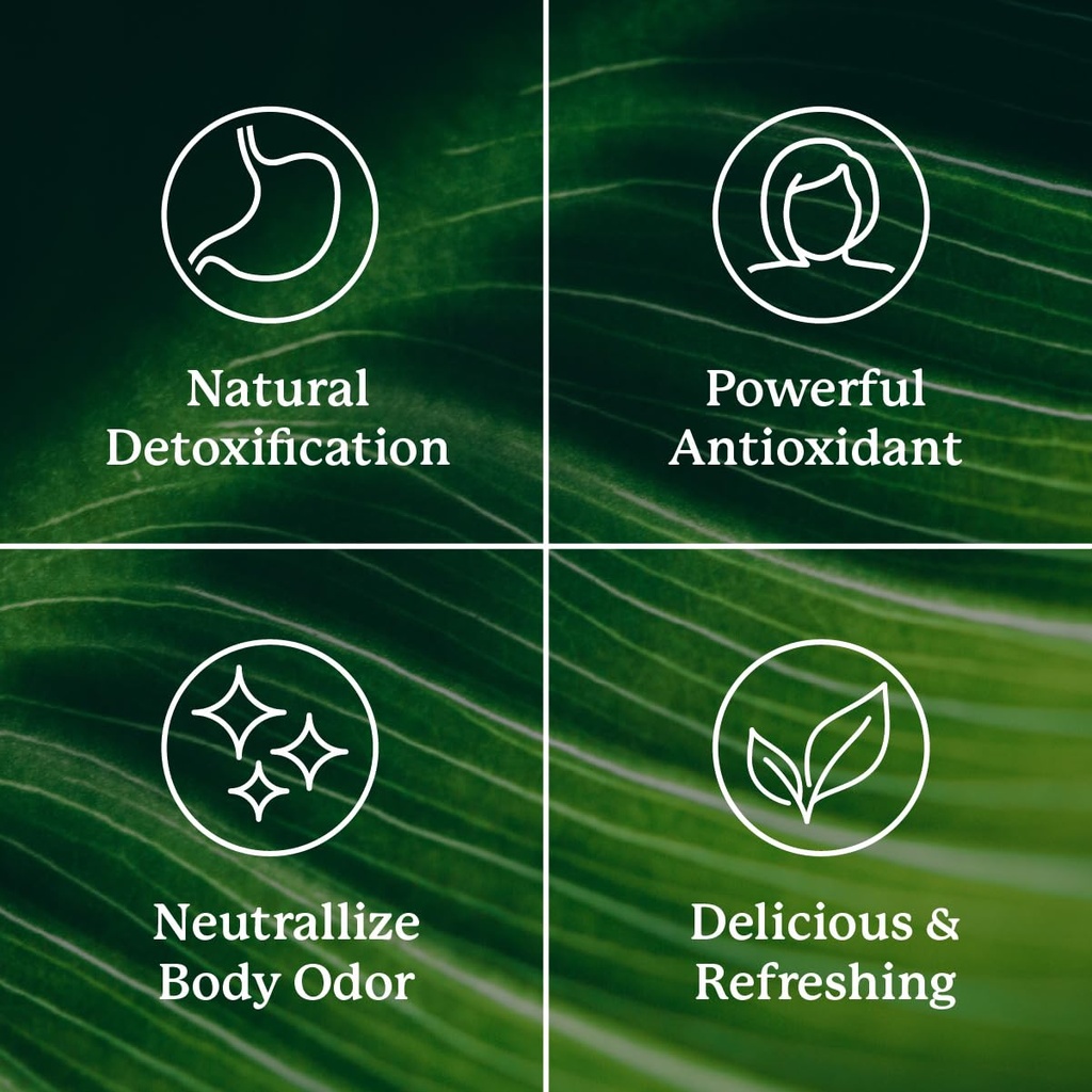 nature-s-sunshine-chlorophyll-stick-pack-5.jpg