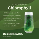 nature-s-sunshine-chlorophyll-stick-pack-2.jpg