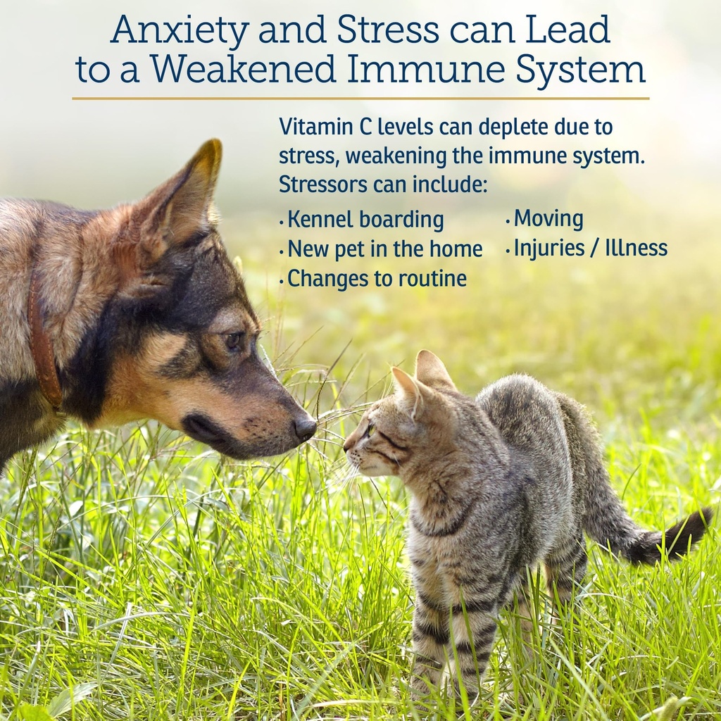 rx-vitamins-bio-c-vitamin-c-for-dogs-and-3.jpg