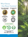 one-planet-nutrition-nano-bacopa-powder--4.jpg