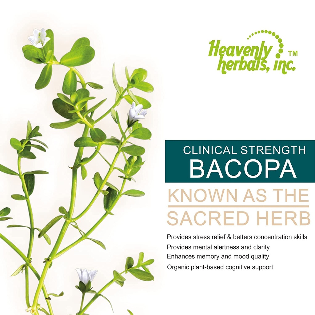bacopa-drops-improves-memory-concentrati-3.jpg