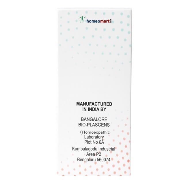 bacopa-monnieri-homeopathy-mother-tinctu-4.jpg