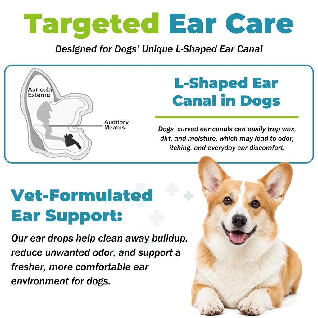 dog-ear-infection-treatment-yeast-infect-5.jpg