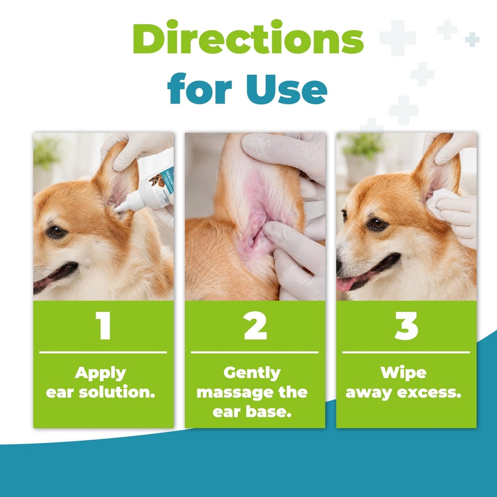 dog-ear-infection-treatment-yeast-infect-6.jpg