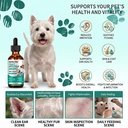 dog-yeast-infection-treatment-drops-trea-4.jpg