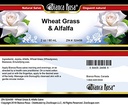 bianca-rosa-wheat-grass-alfalfa-salve-2--4.jpg