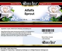 alfalfa-sprout-salve-2-oz-zin-518856-4.jpg
