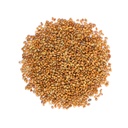food-to-live-organic-alfalfa-sprouting-s-3.jpg