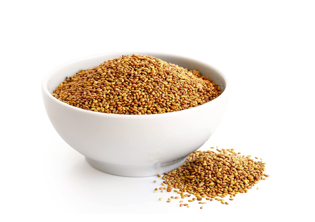 food-to-live-organic-alfalfa-sprouting-s-5.jpg
