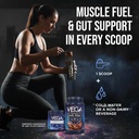 vega-protein-recovery-chocolate-creatine-6.jpg