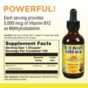 nature-s-life-b12-drops-5000-mcg-vitamin-2.jpg