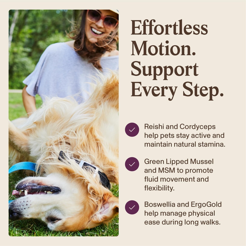 real-mushrooms-mobility-chews-for-dogs-a-5.jpg