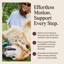 real-mushrooms-mobility-chews-for-dogs-a-5.jpg