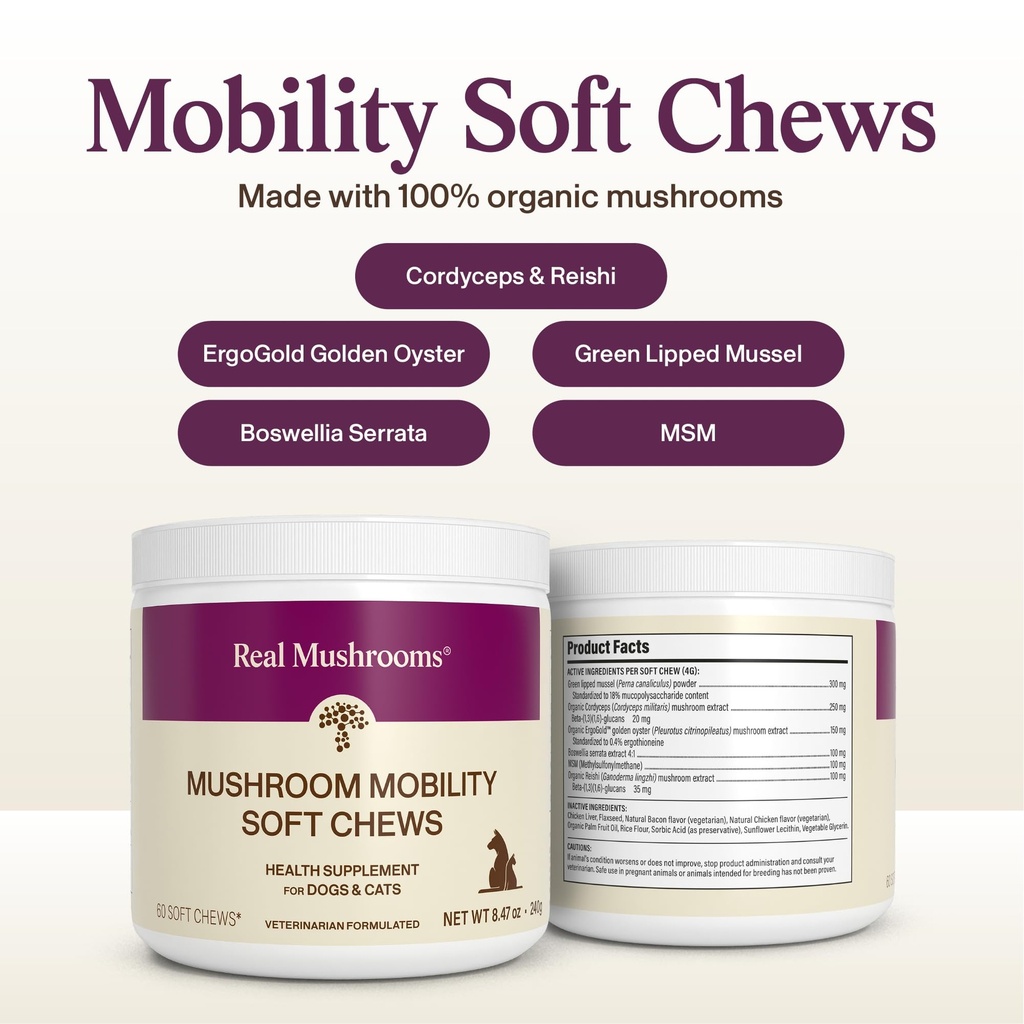 real-mushrooms-mobility-chews-for-dogs-a-3.jpg