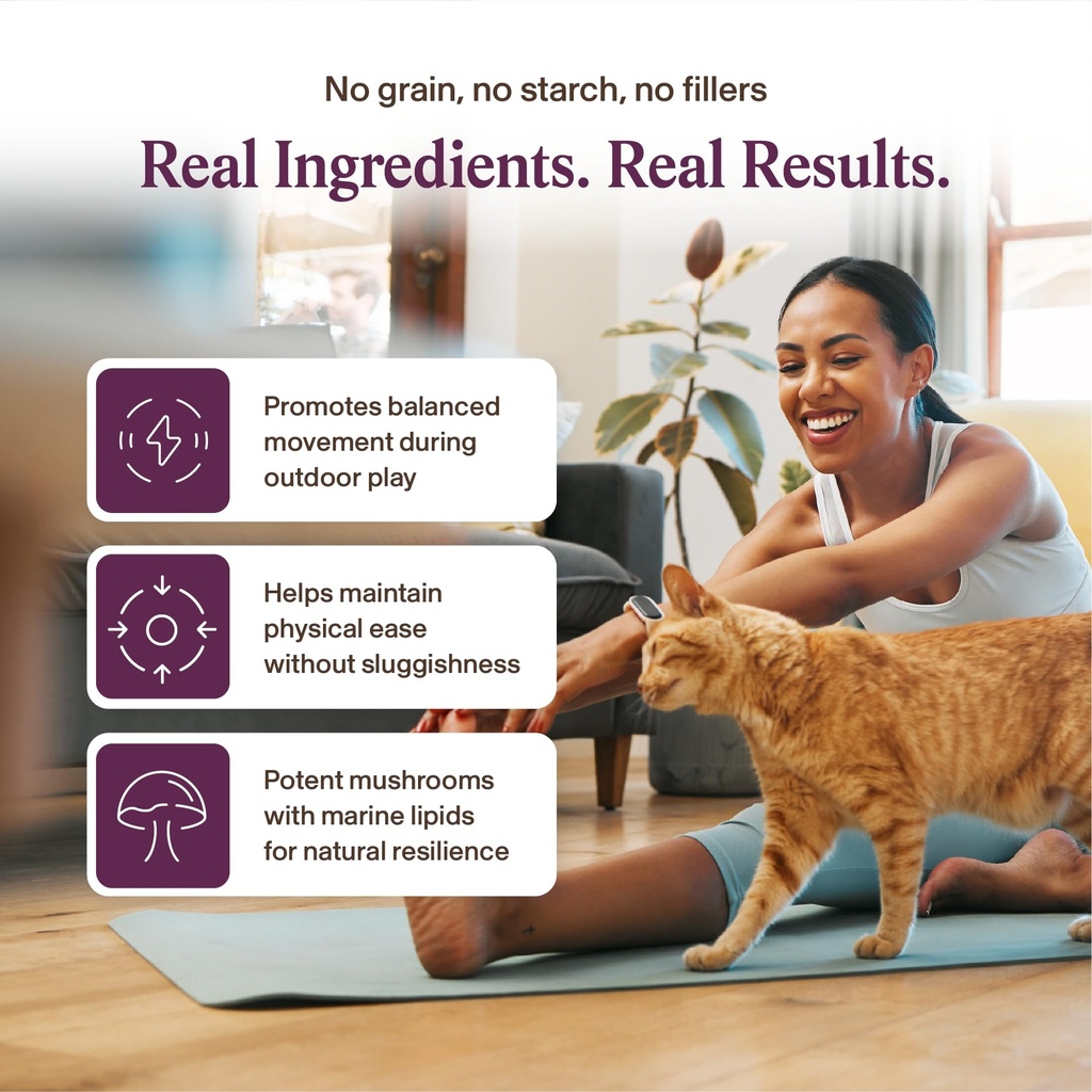 real-mushrooms-mobility-chews-for-dogs-a-4.jpg