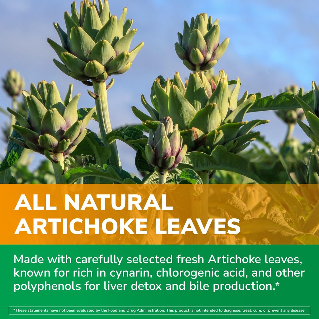 artichoke-extract-600-mg-of-artichoke-le-5.jpg