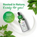 rainbow-light-nettle-leaf-extract-2-fl-o-3.jpg