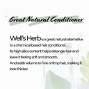 well-s-oil-dried-nettle-leaf-herb-0-5-oz-4.jpg