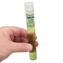 chlorella-living-3.jpg