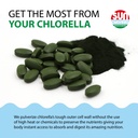 sun-chlorella-tablets-500mg-whole-food-b-4.jpg