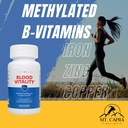 dr-wholeness-blood-vitality-daily-iron-m-4.jpg