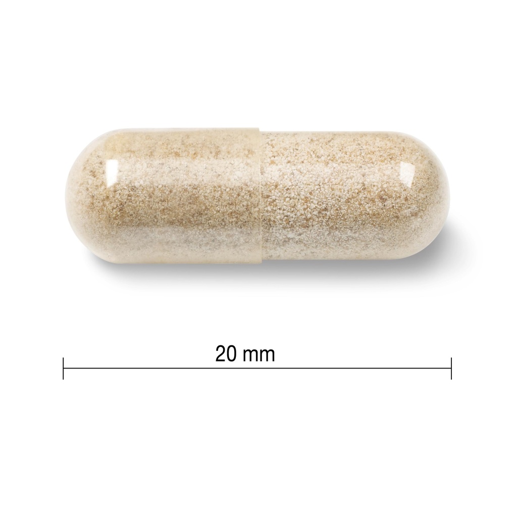 jamieson-laboratories-gentle-iron-28mg-9-5.jpg