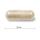 jamieson-laboratories-gentle-iron-28mg-9-5.jpg