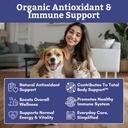 organic-spirulina-powder-for-dogs-and-ca-2.jpg